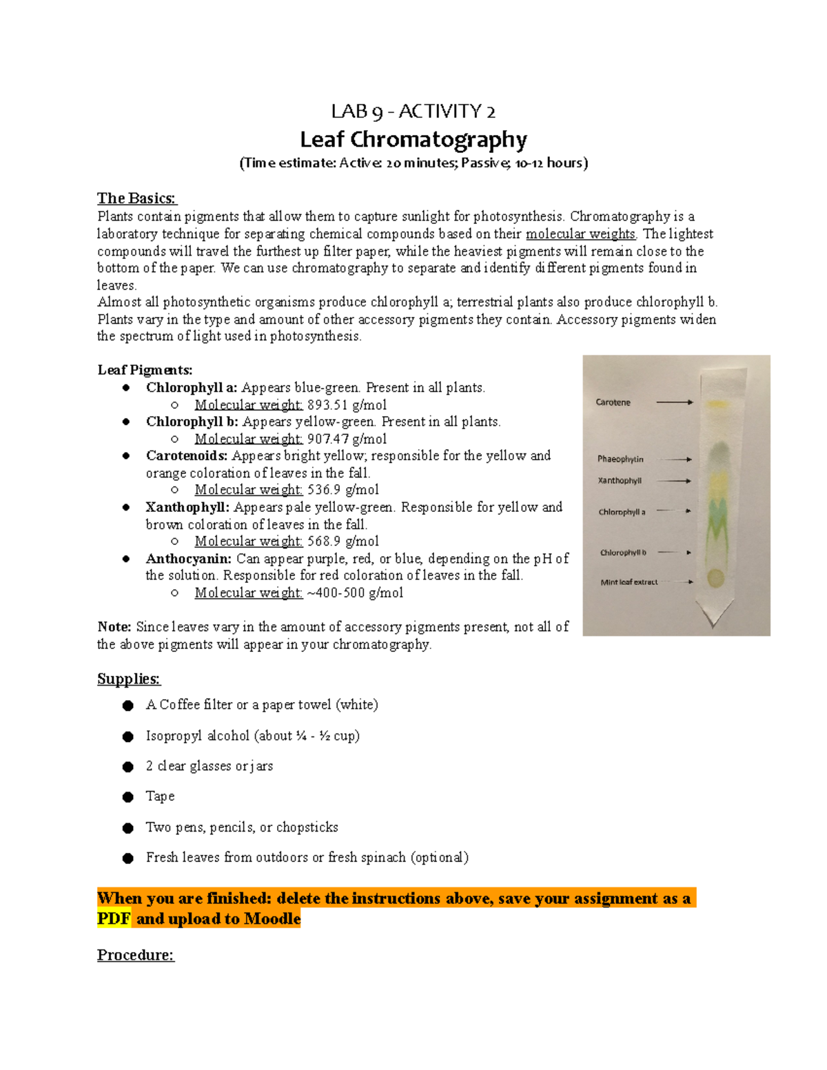 Copy of Lab9 Activity 2 leaf chromatography LAB 9 ACTIVITY 2 Leaf
