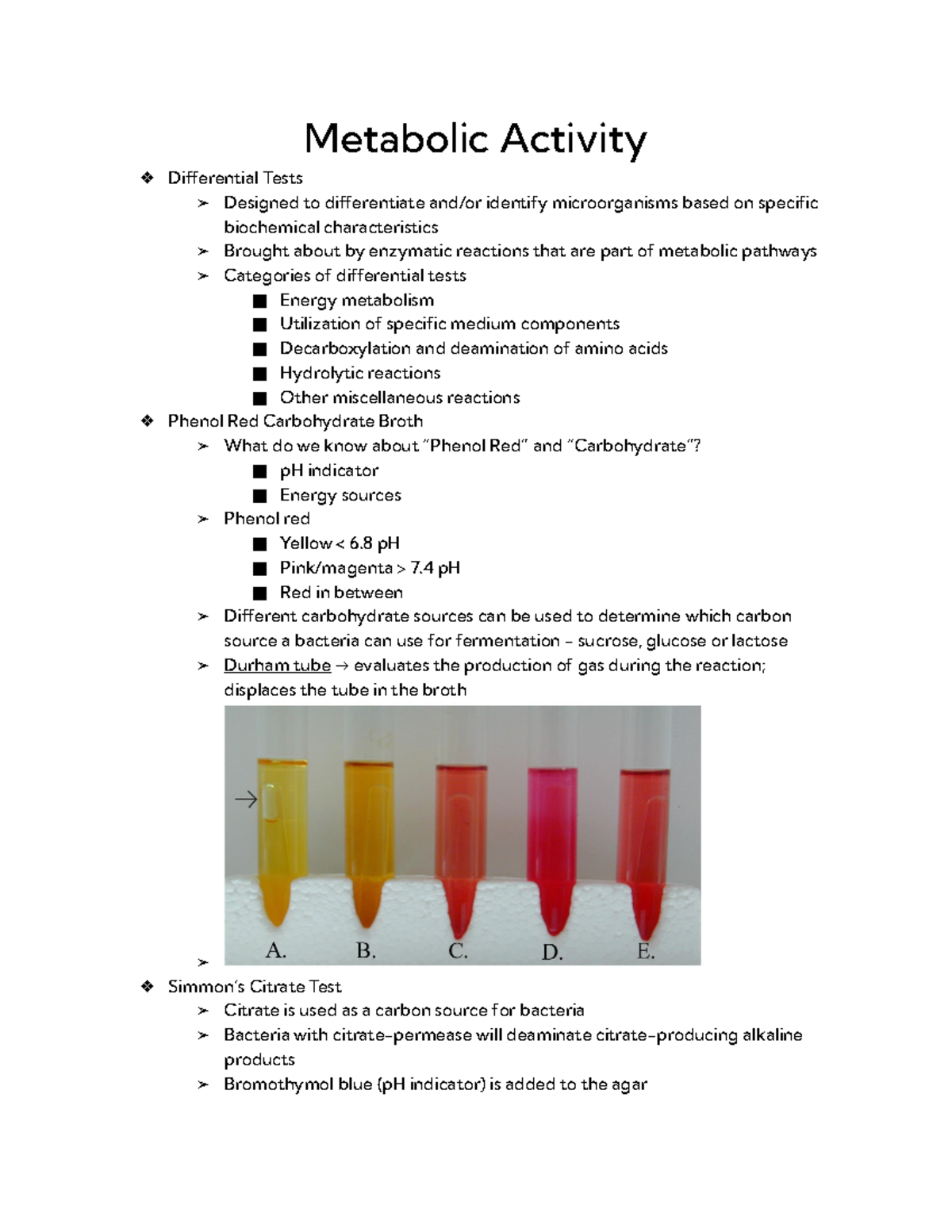 Metabolic Activity - Metabolic Activity Differential Tests Designed to ...