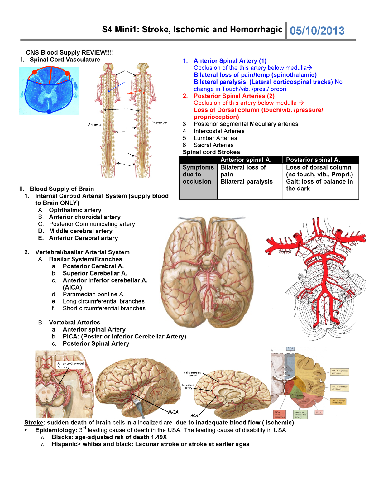 05102013 Strokes- CNS Blood supply - 450 - Studocu