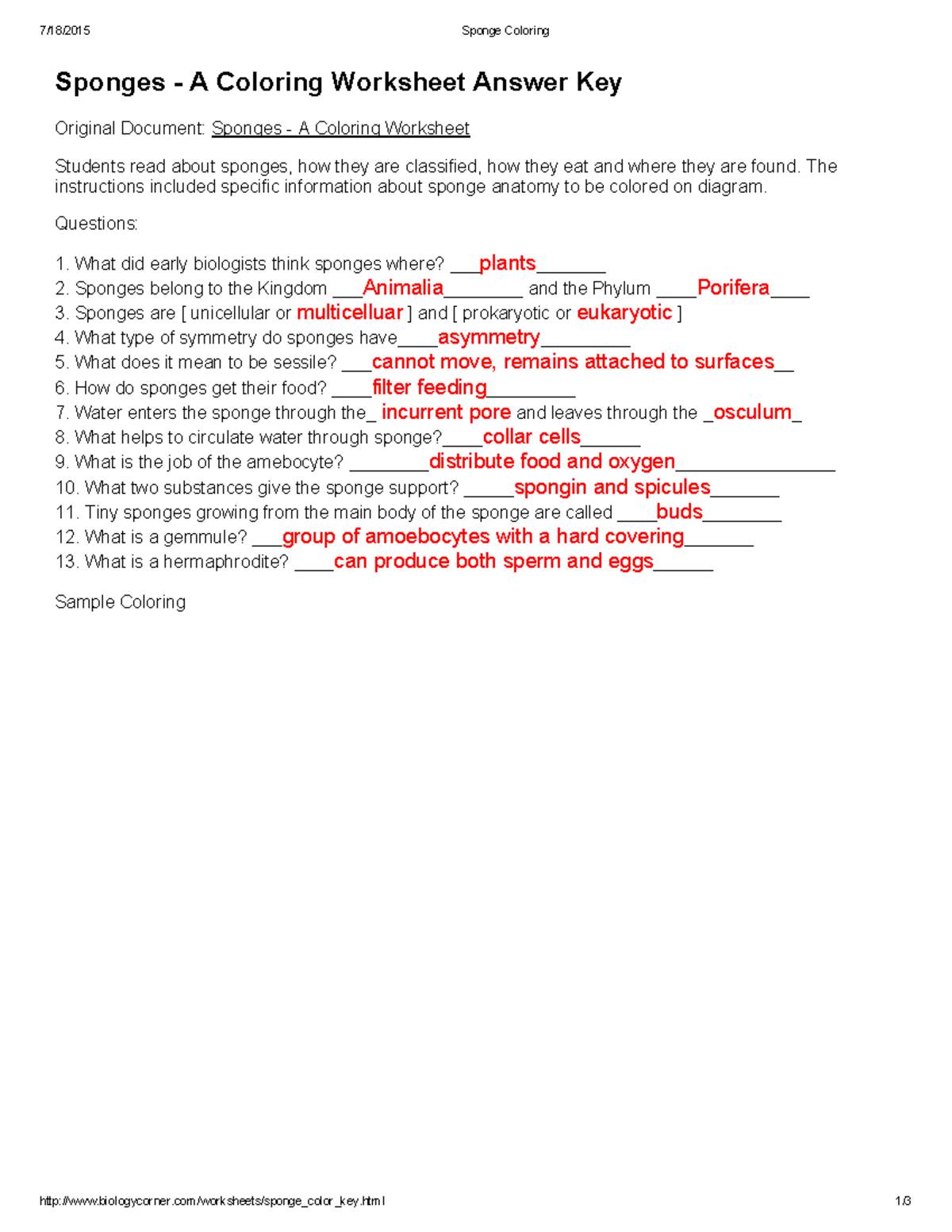 Sponge coloring 2222.22 WORKSHEET - 22/22228/22022225 Sponge Coloring - StuDocu Throughout Sponges A Coloring Worksheet