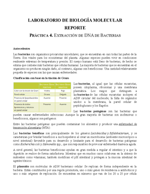 Práctica 5. Extracción De DNA Plasmídico. Método De Lisis Alcalina ...