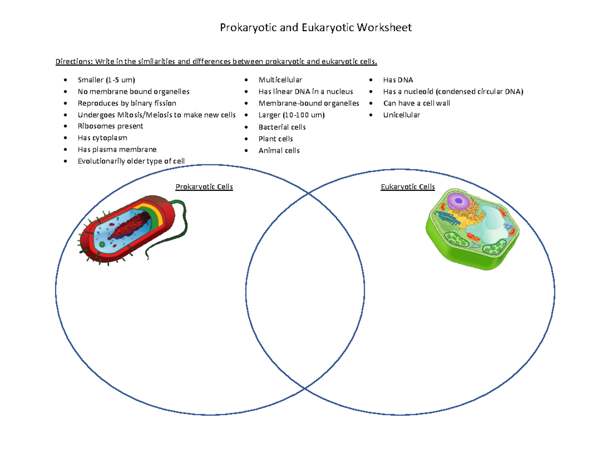 Ch 1 Prokaryotic Eukaryotic Worksheet - Directions: Write in the  similarities and differences - Studocu