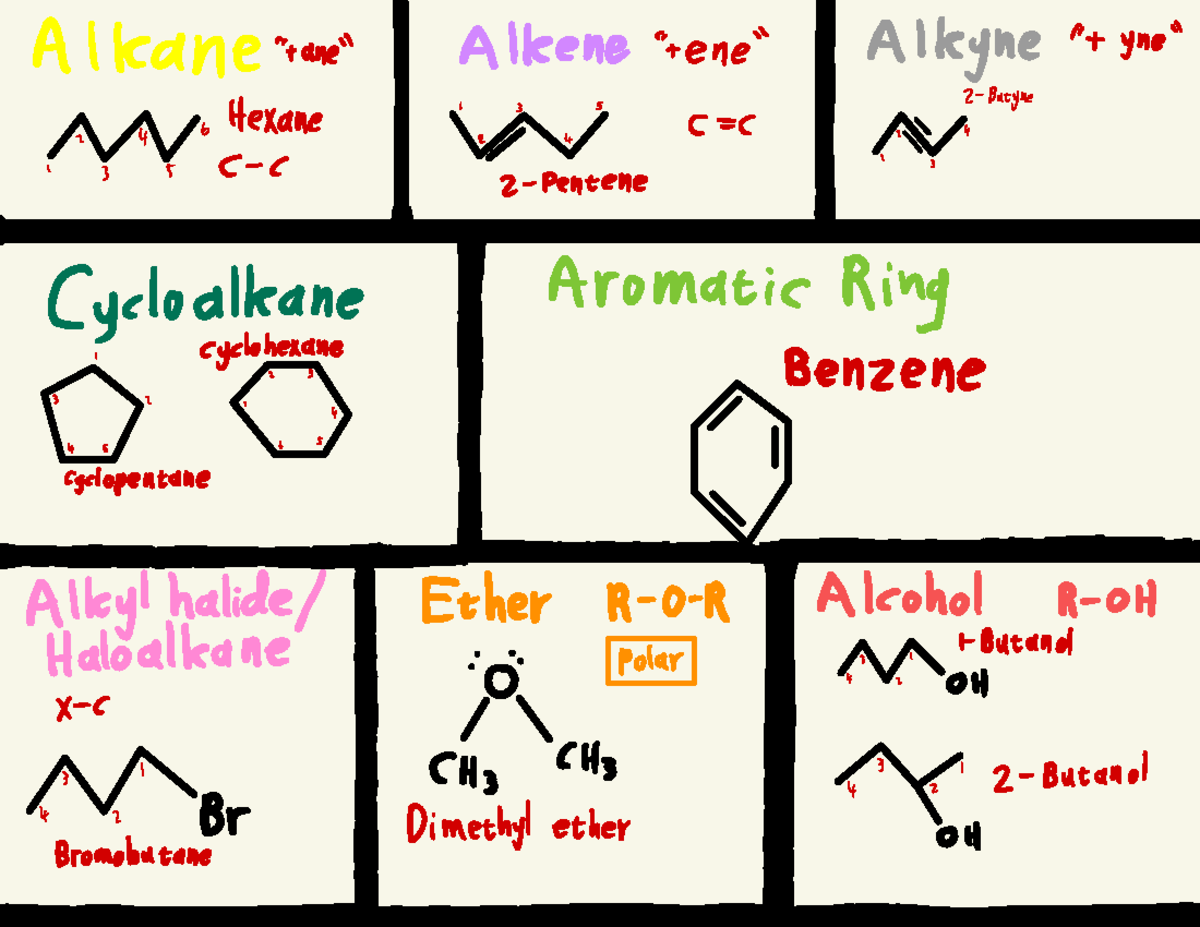 Organic CHEMISTRY - CMY 151 - 35 2- Butyne 