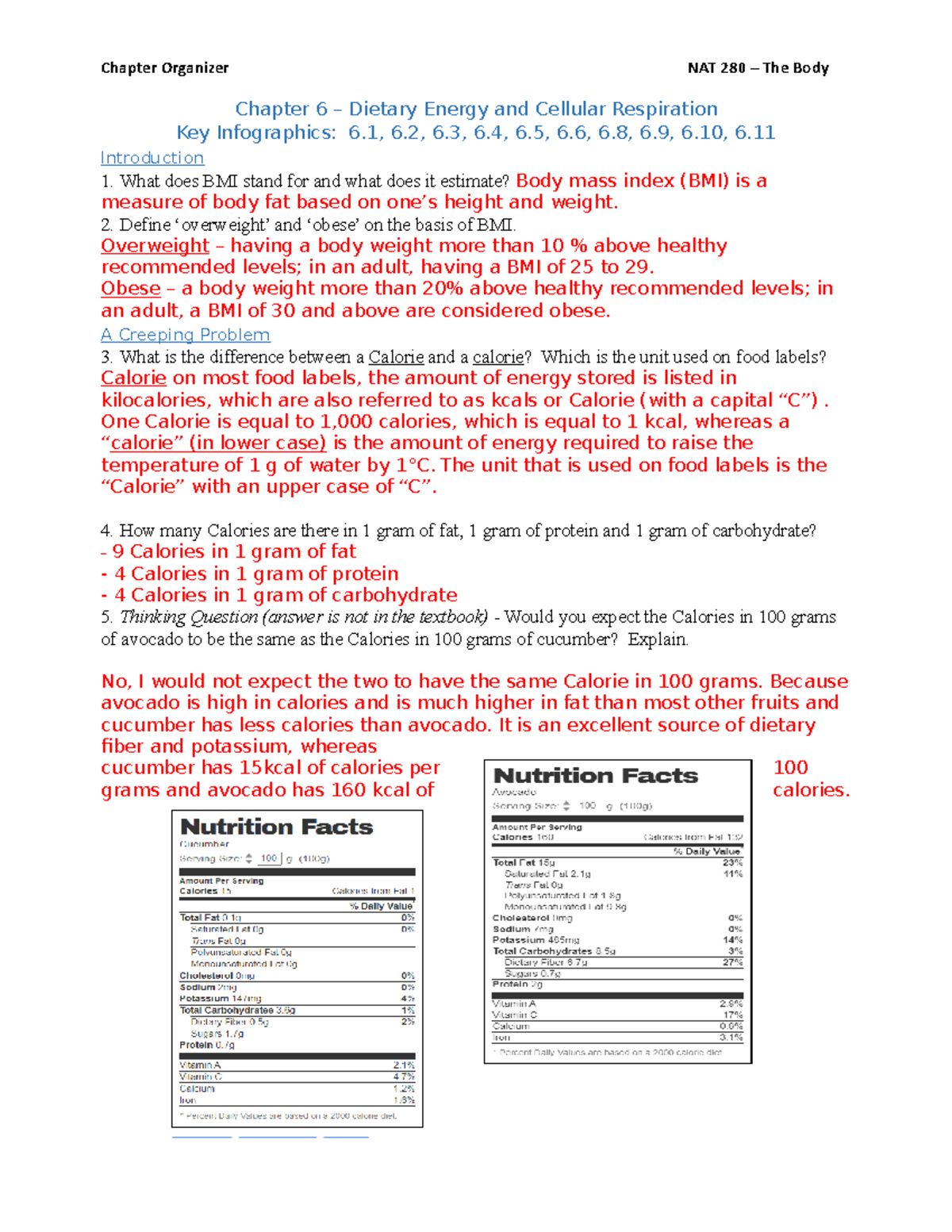 Chapter 6- Dietary Energy-Organizer - Chapter 6 – Dietary Energy and ...