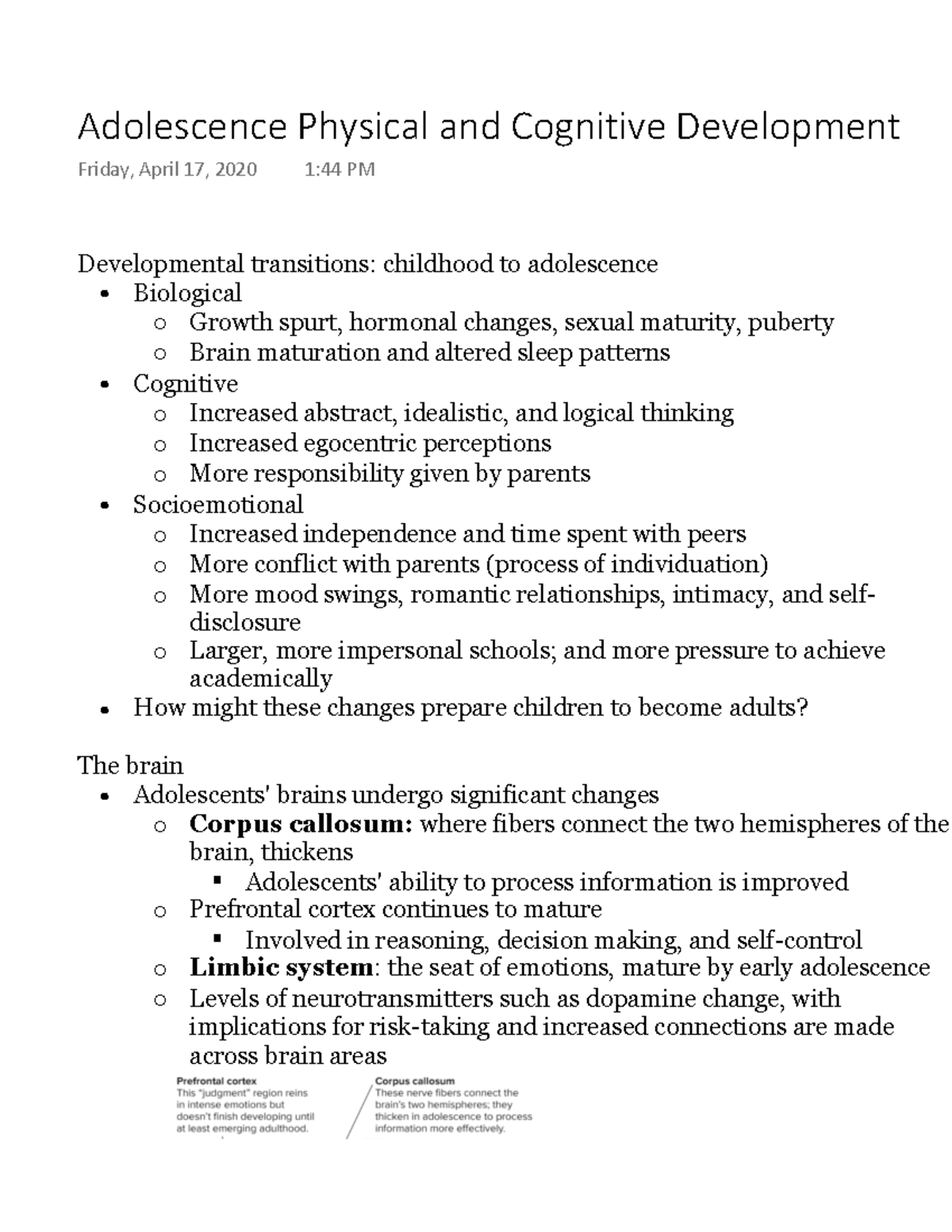 Adolescence Physical and Cognitive Development - Warning: TT: undefined ...