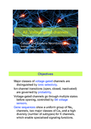 Block B Case Study - CSN: Block B Case Study For this online tutorial ...