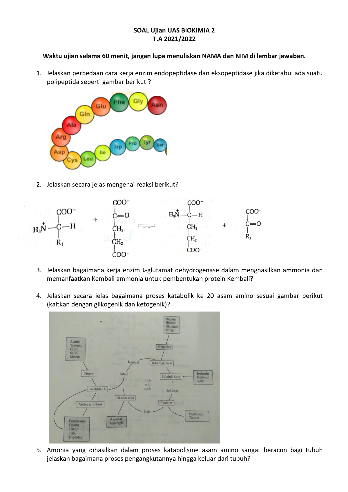 SOAL Ujian UAS Biokimia II 2022 - SOAL Ujian UAS BIOKIMIA 2 T 2021 ...