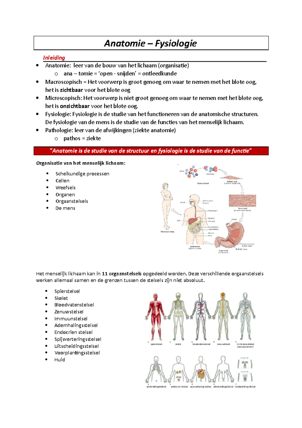 Anatomie - Fysiologie Samenvatting - Anatomie Fysiologie Inleiding ...