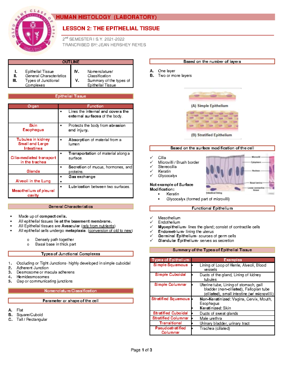 Laboratory 2 The Epithelial Tissue - HUMAN HISTOLOGY (LABORATORY) = 2 ...