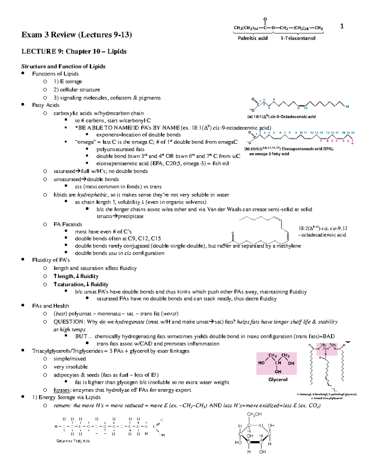 Exam 3 Review - Exam 3 Review (Lectures 9-13) LECTURE 9: Chapter 10 ...
