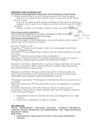 PAT revision - Summary Pathophysiology - STROKE (Cerebrovascular ...