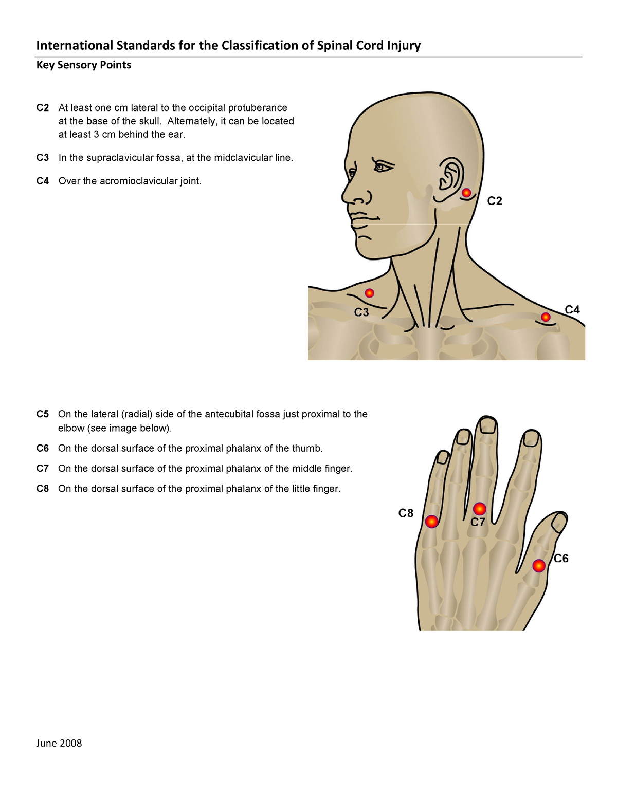 Instructivo Evaluación Sensitiva ASIA- Dermatomas - Key Sensory Points ...