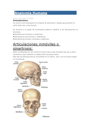 Piel - Tortora - Resumen Del Sistema Tegumentario, Libro: Principios De ...