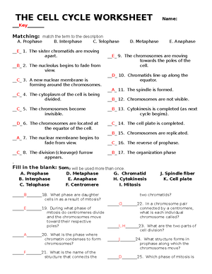 Cell cycle mcq questions and answers - Multiple Choice Questions (MCQ ...