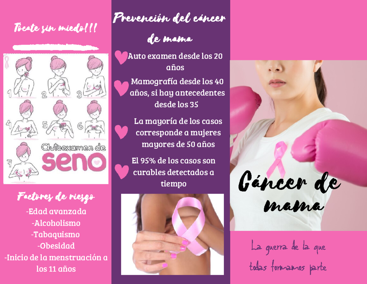 Triptico Cancer De Mama 4850