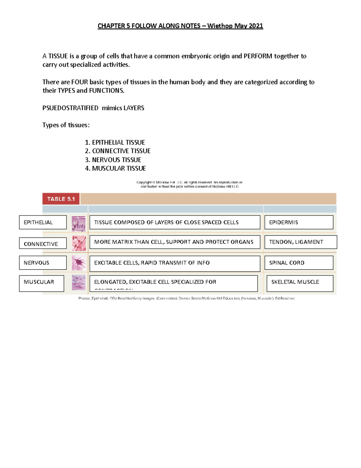 WK+4+ Outline - A TISSUE is a group of cells that have a common ...