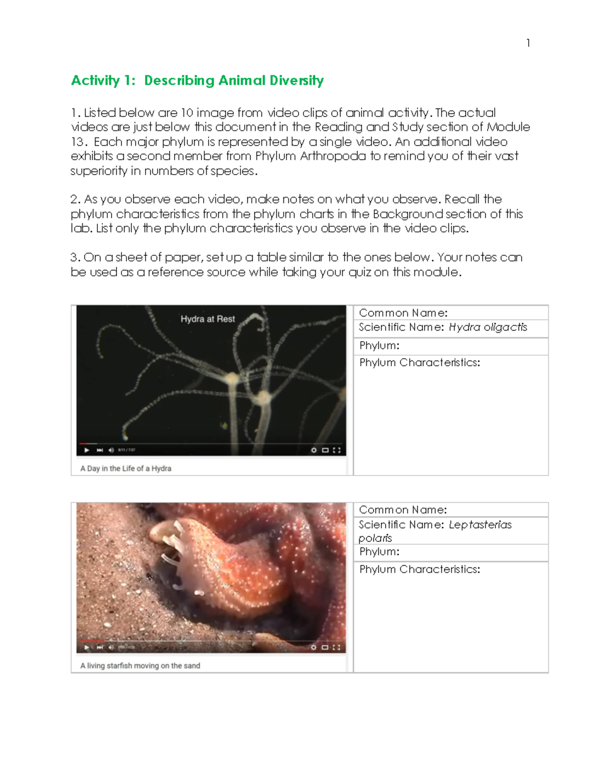 Animal Diversity Activities - Activity 1: Describing Animal Diversity 1 ...