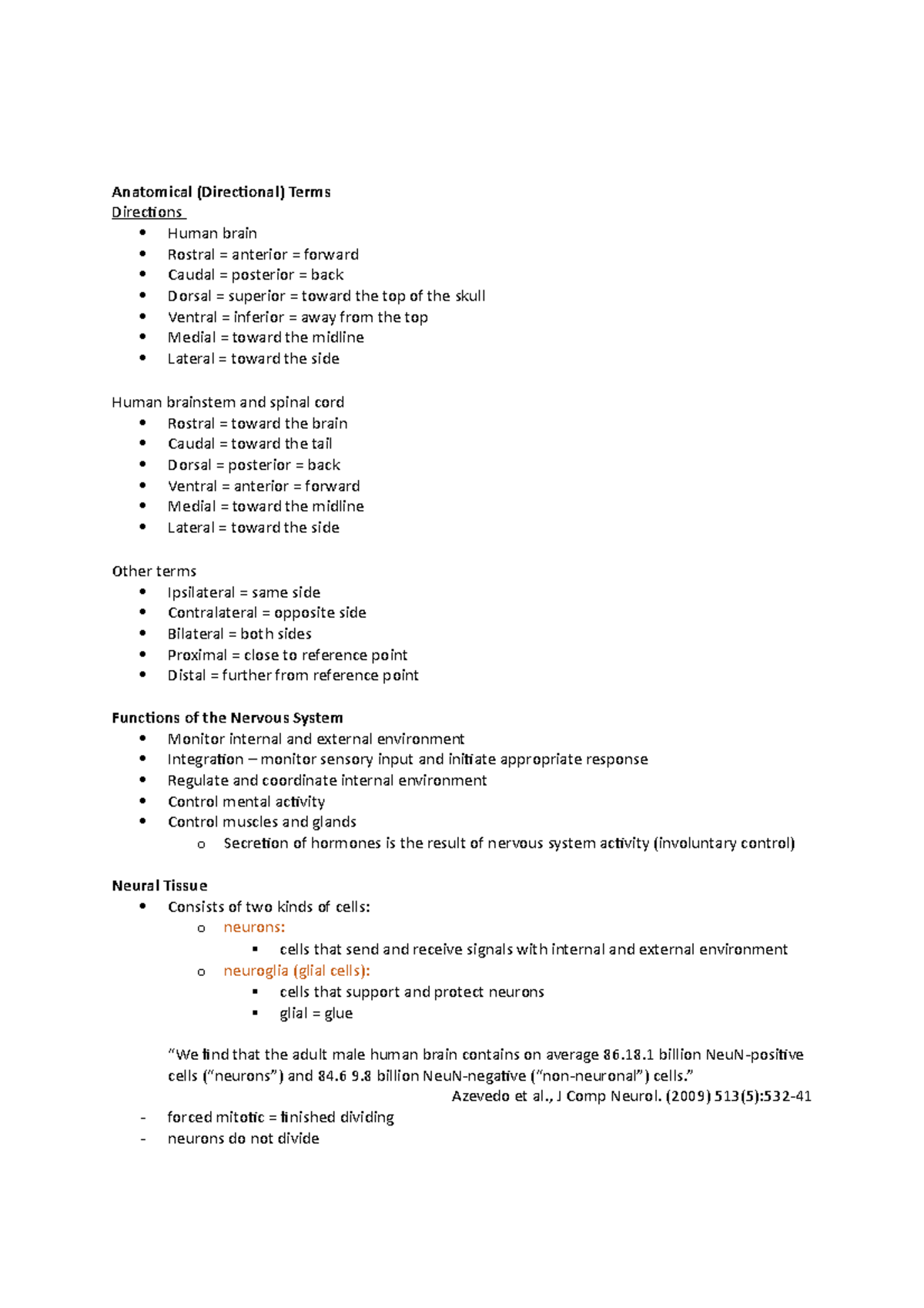 Nervous System - Anatomical (Directional) Terms Directions Human brain ...