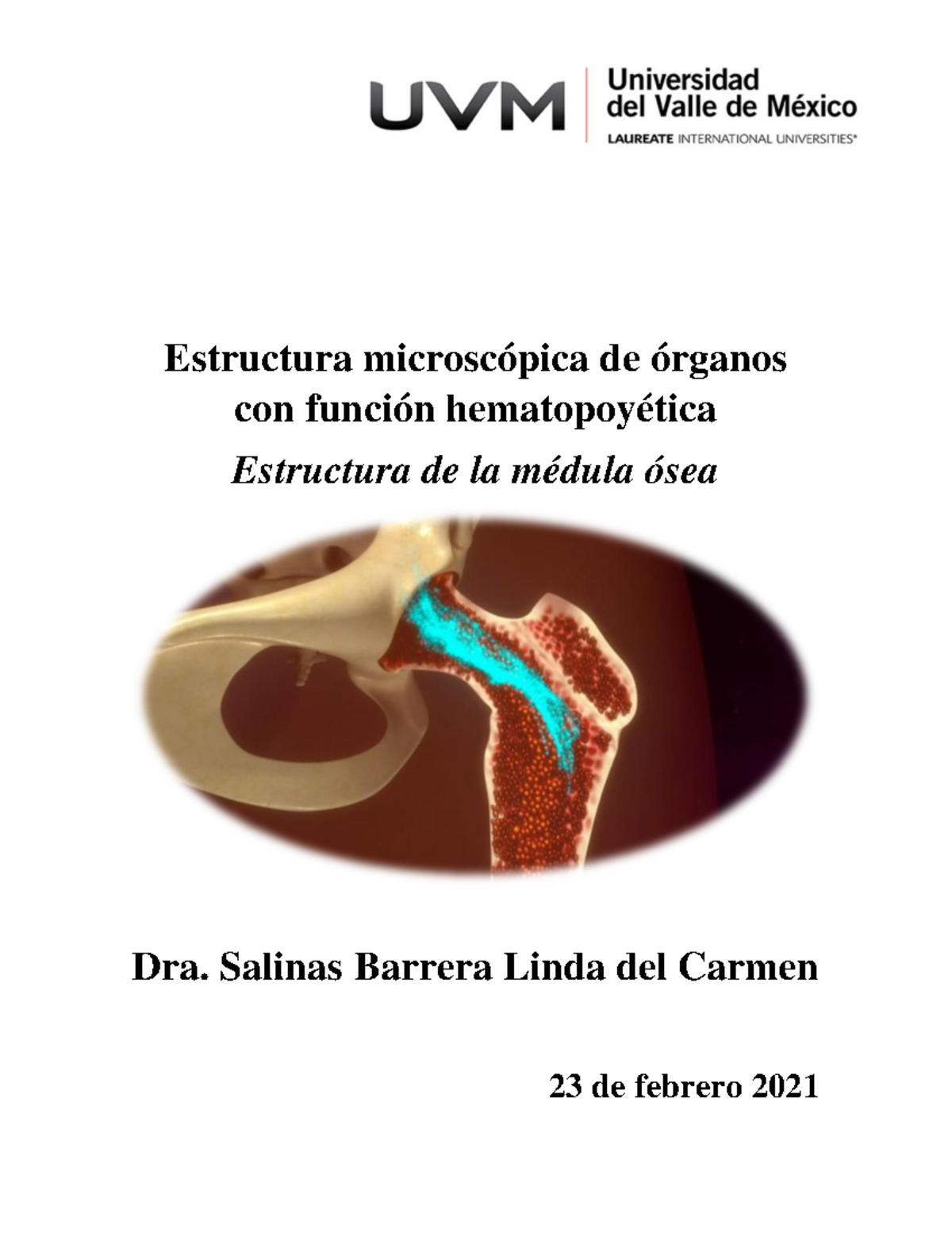 Resumen Estructura de la médula ósea Estructura microscópica de órganos con función Resumen Estructura de la médula ósea Estructura microscópica de órganos con función