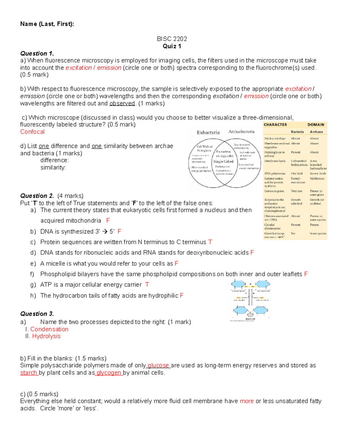 Quiz 1 Answer Key Name (Last, First) BISC 2202 Quiz 1 Question 1. a