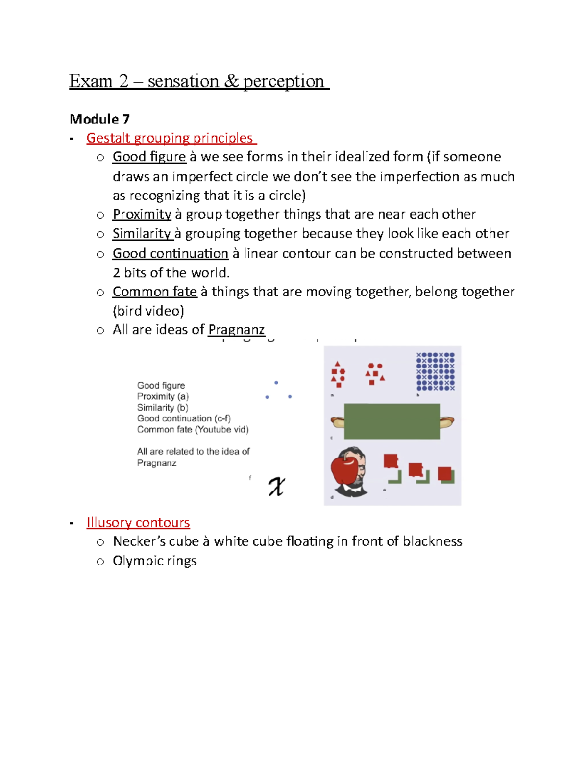 Exam 2 Study Guide - Exam 2 – Sensation & Perception Module 7 Gestalt ...