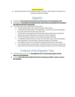 Vitamin Worksheet - Other Names Solubility RDA/AI UL Main food Sources ...