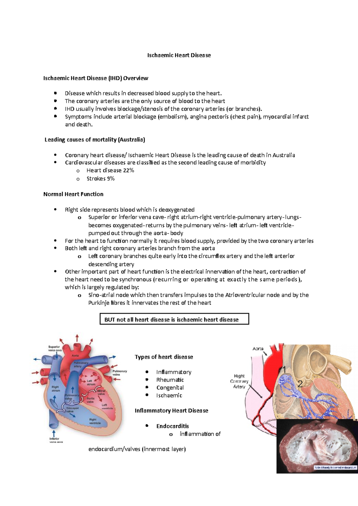 ischaemic-heart-disease-ischaemic-heart-disease-ischaemic-heart