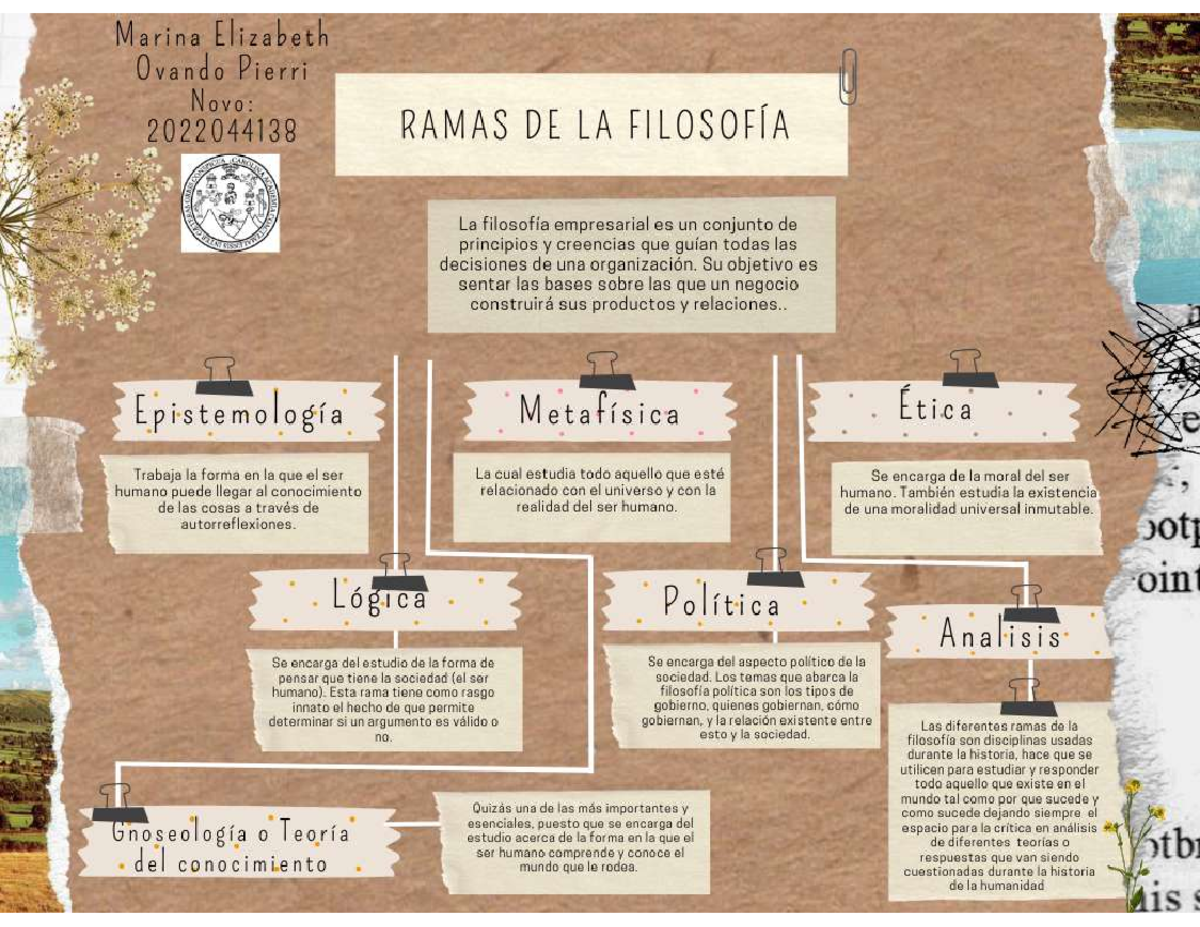 Mapa Conceptual Ramas de la Filosofía Marina - matemática financiera ...