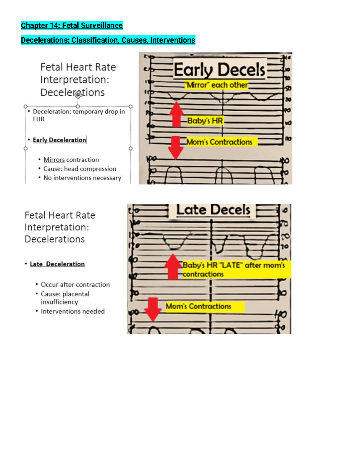 Shelly-OB Exam 2 plus practice questions - Chapter 14: Fetal ...