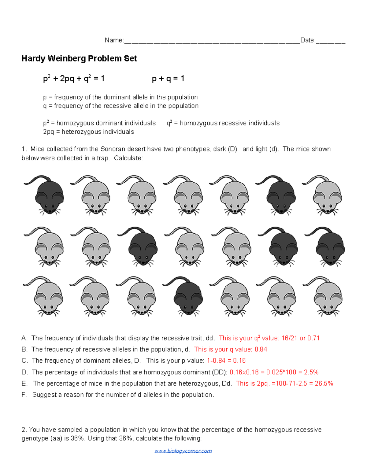 Hardy Weinberg Problem Set Key - Name: : Hardy Weinberg - Studocu