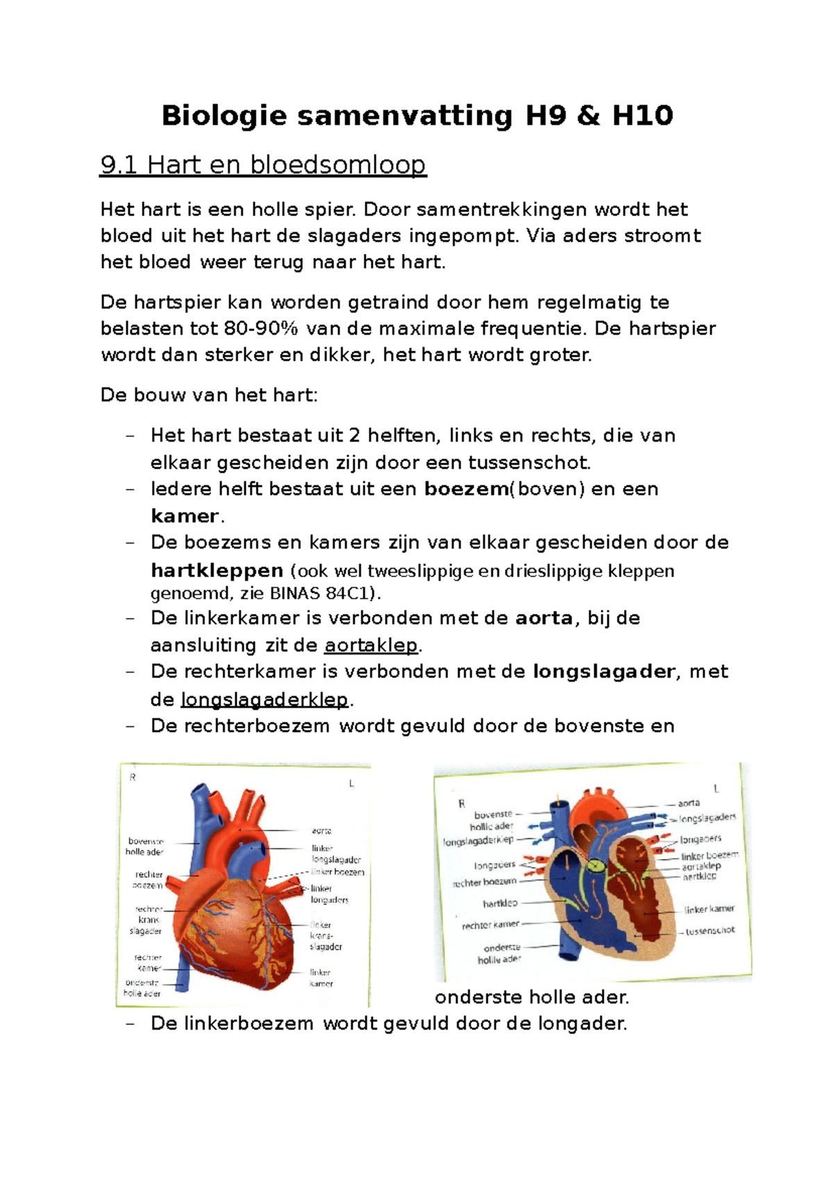 Biologie Samenvatting H9 & 10 - Door Samentrekkingen Wordt Het Bloed ...