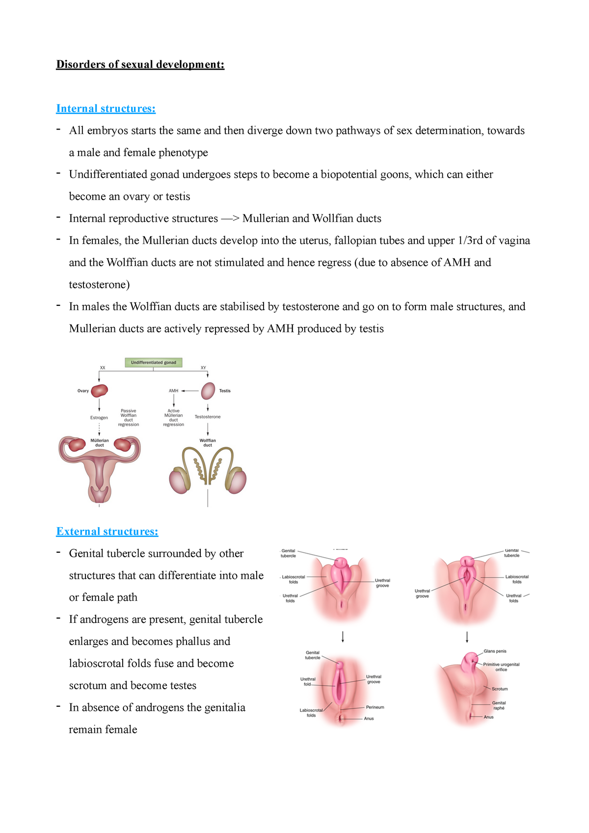 Disorders Of Sexual Development Disorders Of Sexual Development