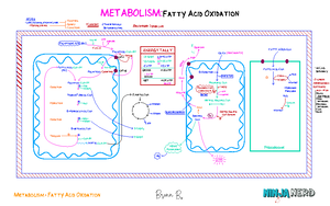 enzyme biochemistry - Specificity of Enzyme O Active site ↑ 14 2 ES ...