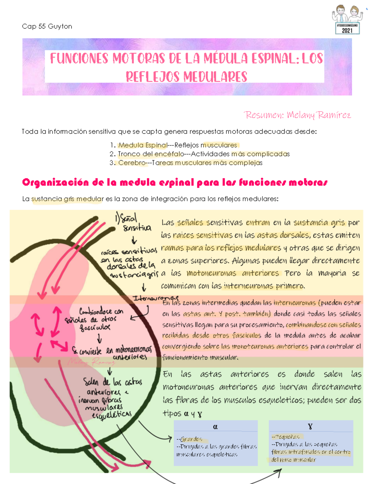 Cap 55 Guyton resumen y apuntes que puse de mas