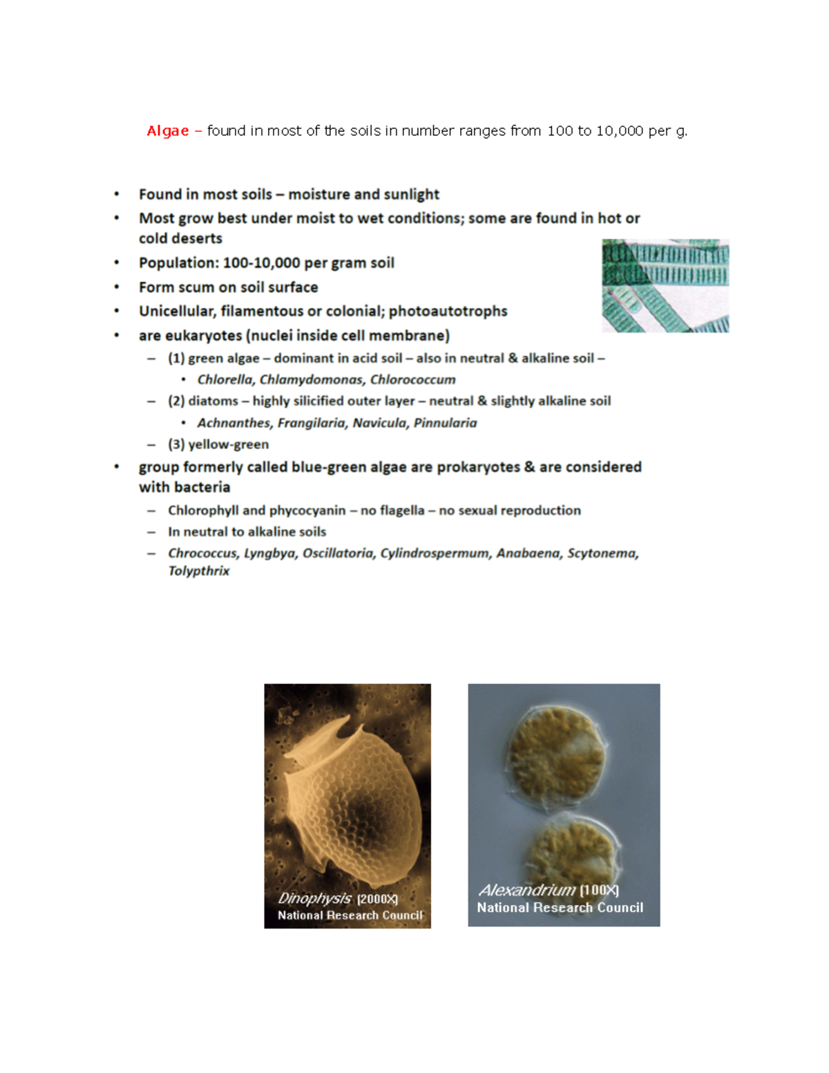 Microbiology Notes 21 - Algae – Found In Most Of The Soils In Number ...