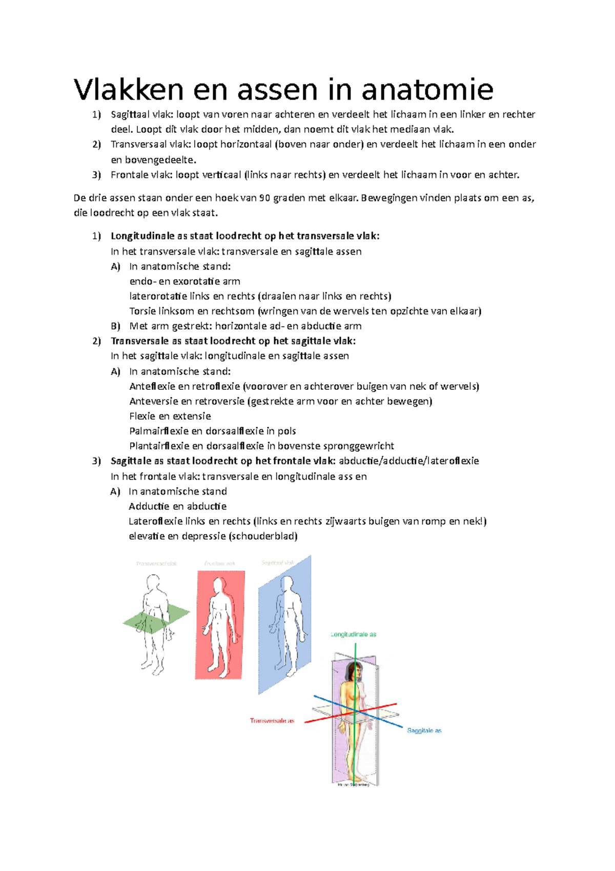 Vlakken En Assen In Anatomie Vlakken En Assen In Anatomie Sagittaal 