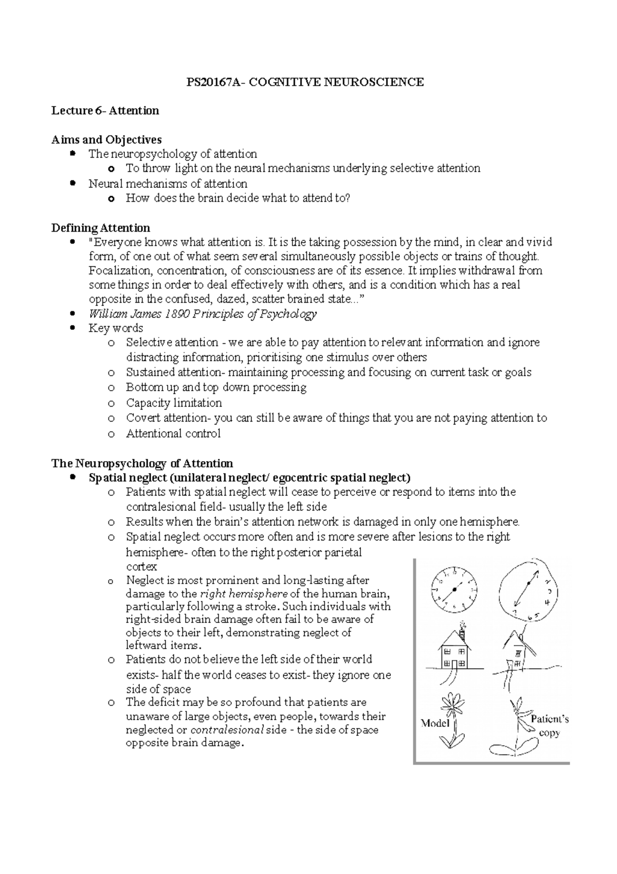 Lecture 6- Attention - PS20167A- COGNITIVE NEUROSCIENCE Lecture 6 ...