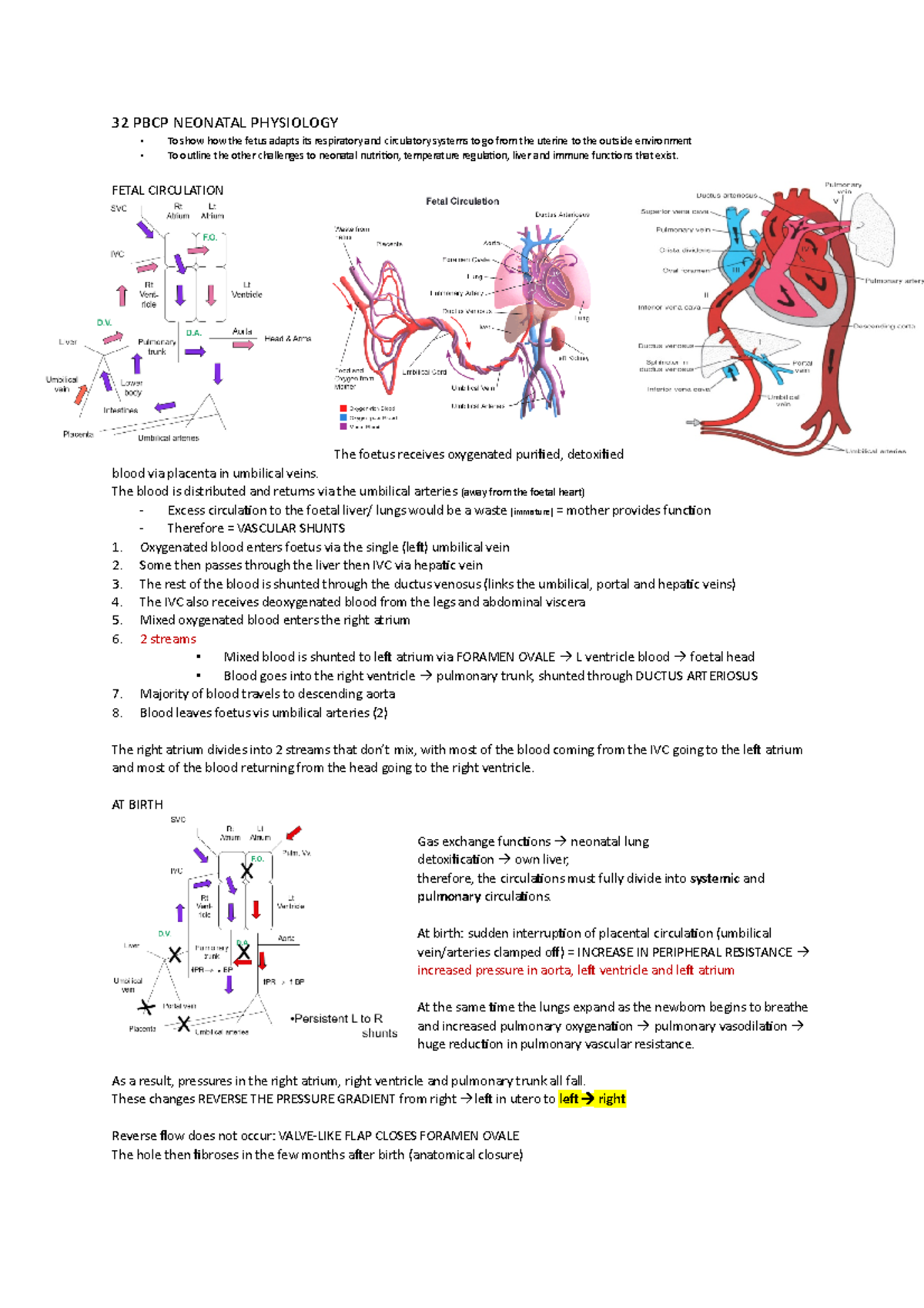 Neonatal physiology - 32 PBCP NEONATAL PHYSIOLOGY To show how the fetus ...