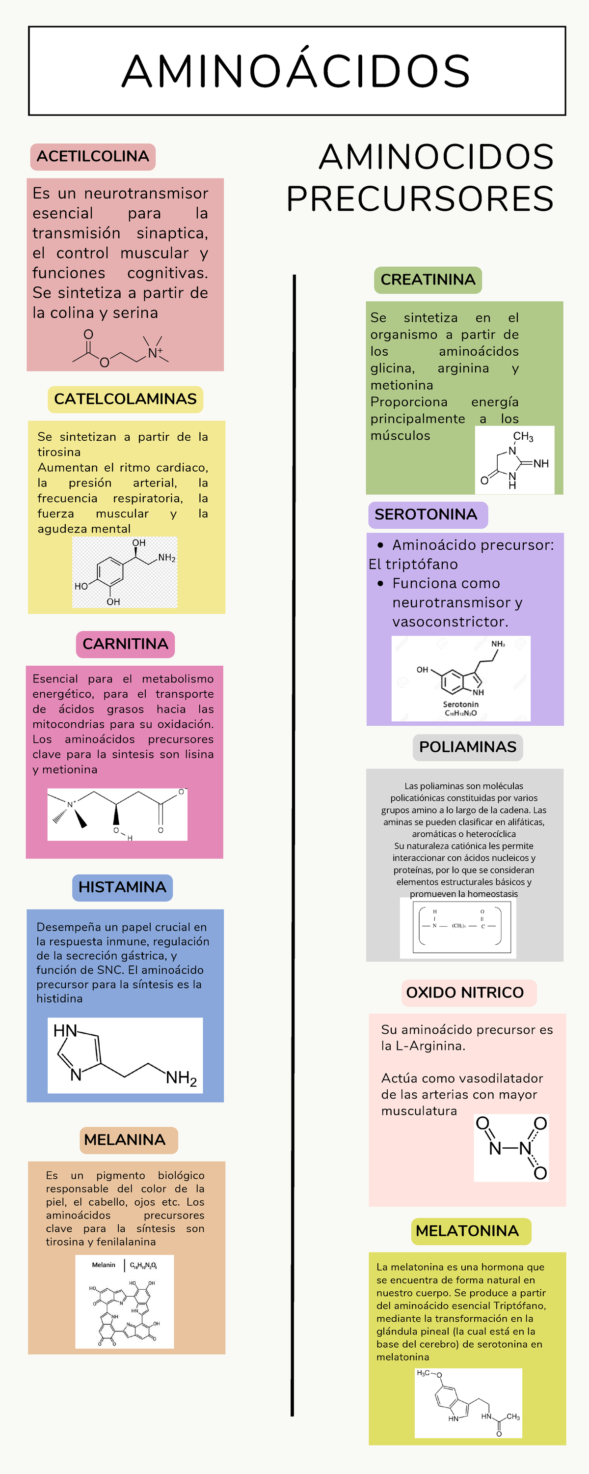 Aminoacidos precursores - Se sintetiza en el organismo a partir de los ...