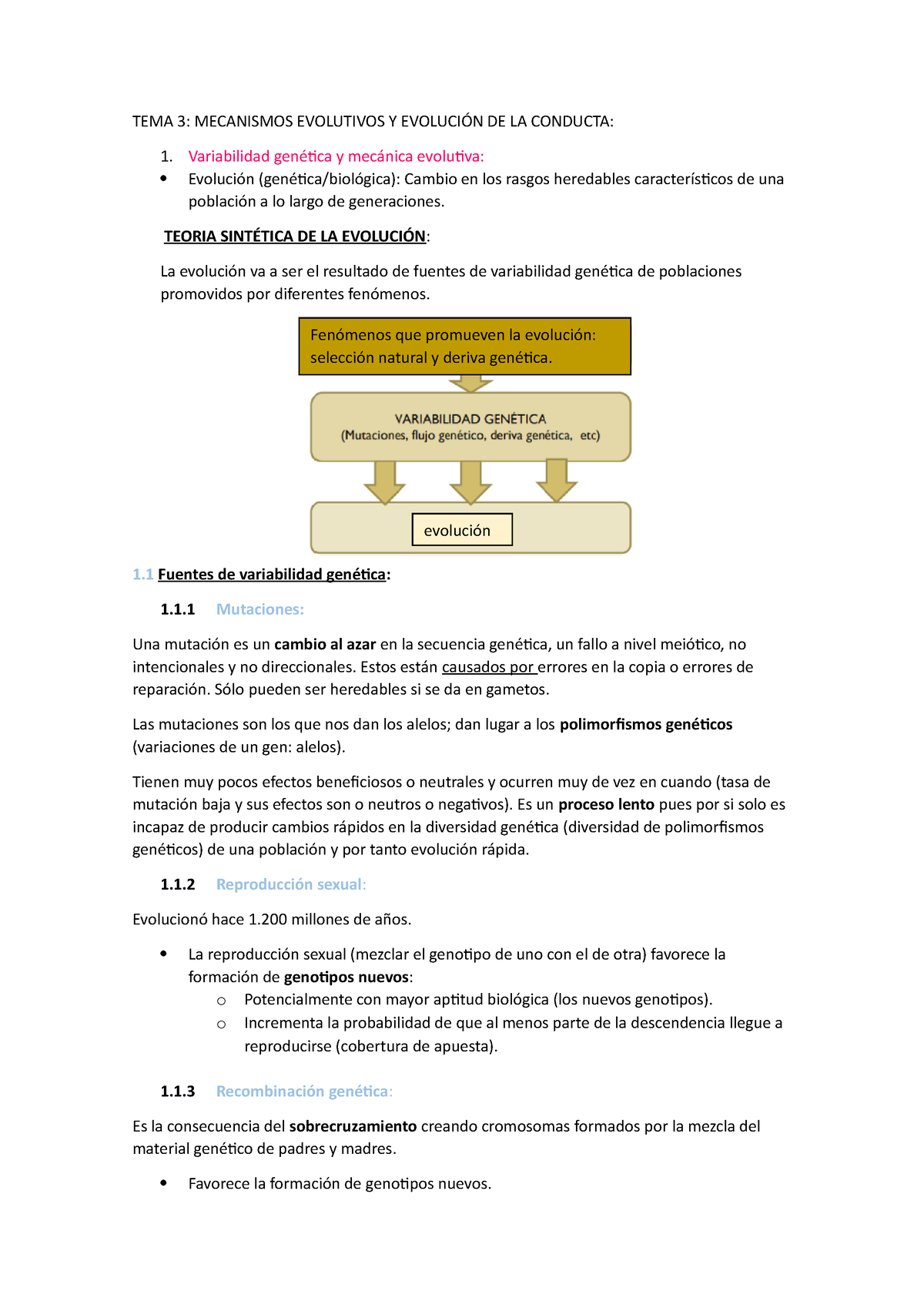 Tema 3 Apuntes Tema 3 Tema 3 Mecanismos Evolutivos Y EvoluciÓn De La Conducta Variabilidad 5803