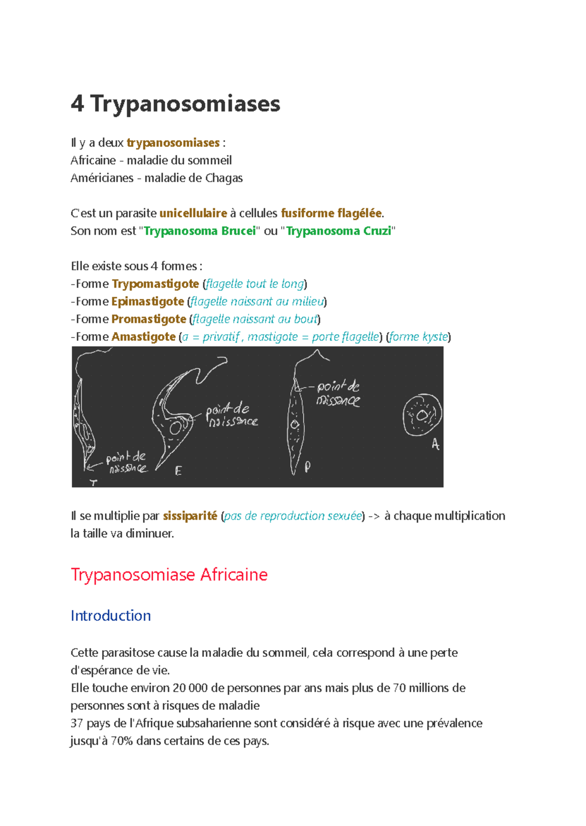 4 Trypanosomiases - Résumé Parasitologie - 4 Trypanosomiases Il y a ...