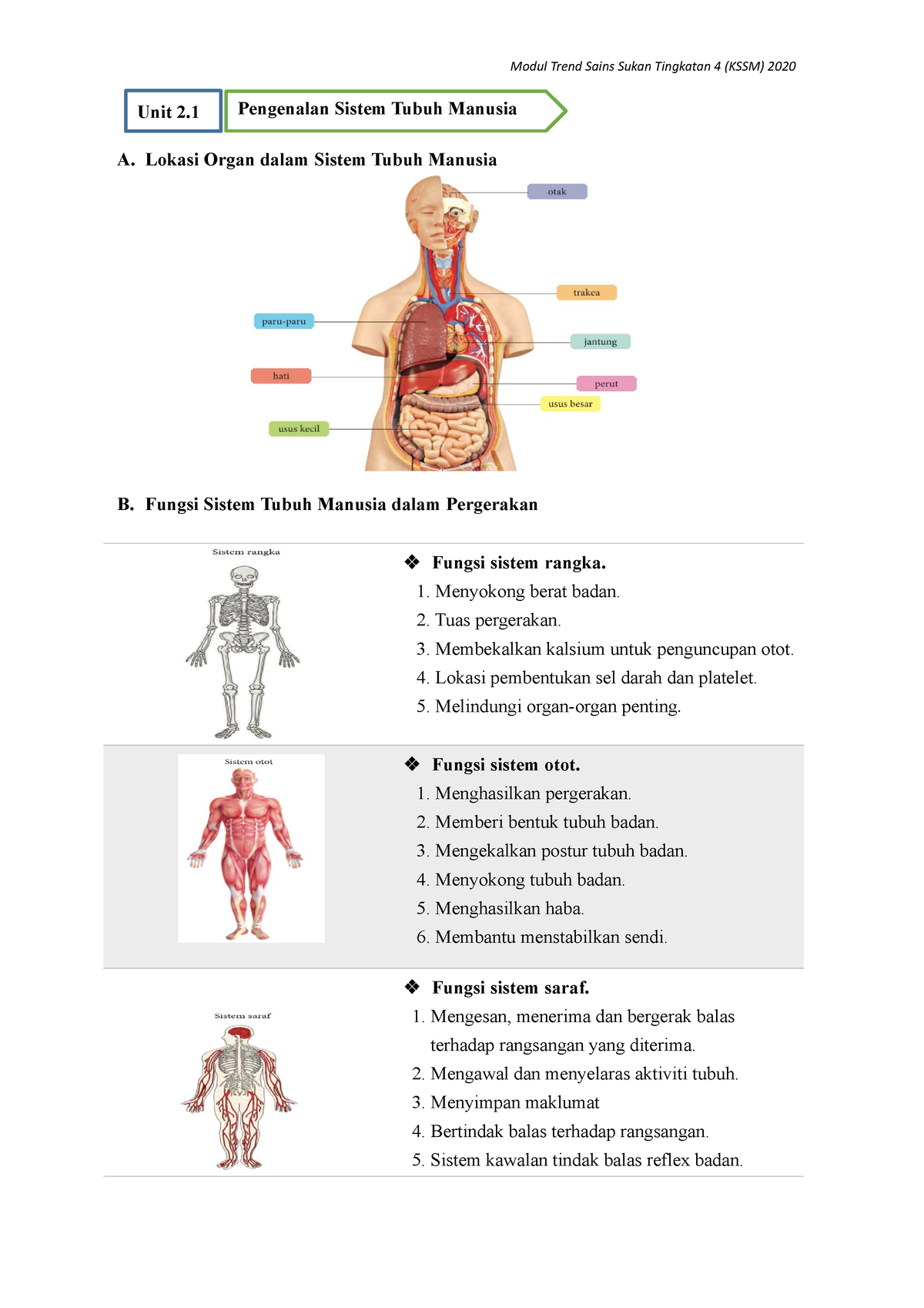 2.1 Pengenalan Sistem Tubuh Manusia - A. Lokasi Organ dalam Sistem ...
