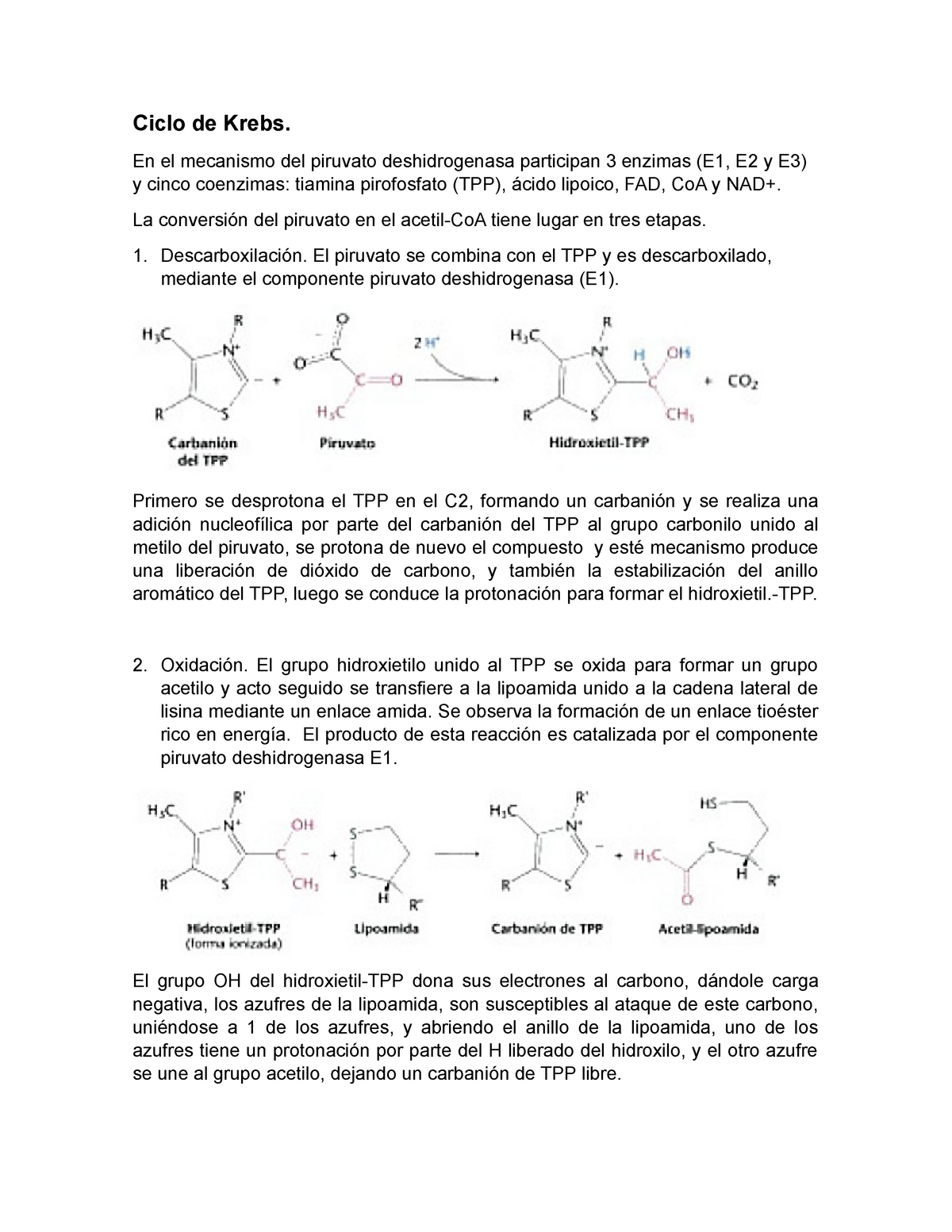 Ciclo De Krebs Mecanismo Ciclo De Krebs En El Mecanismo Del Piruvato Deshidrogenasa