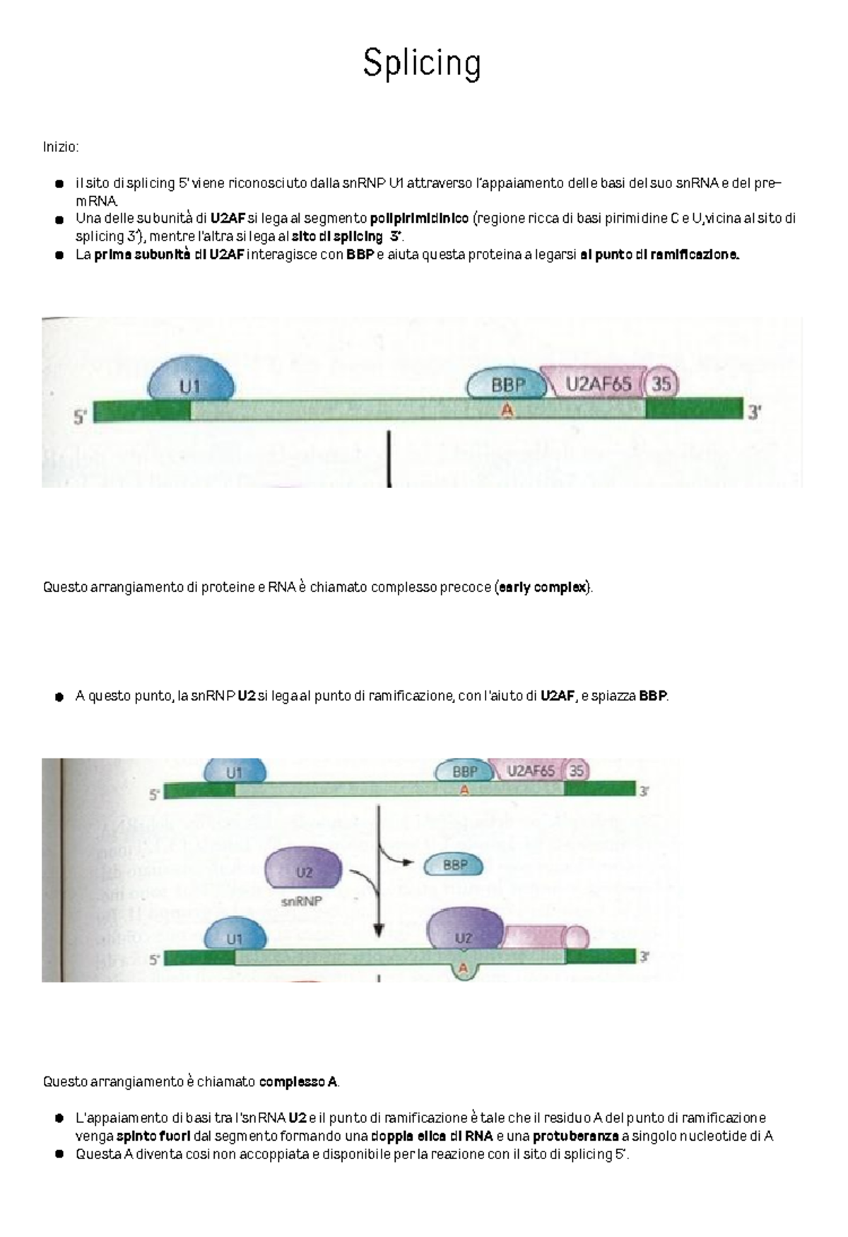 Splicing 20231215 231942 0000 - Splicing Inizio: Questo arrangiamento ...