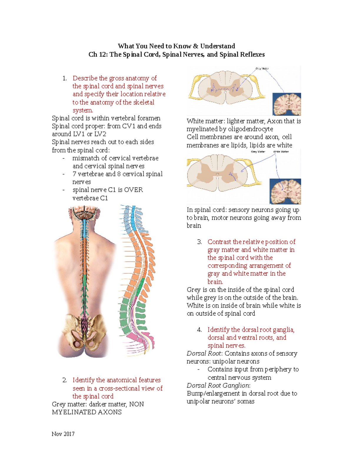 wyntku-ch-12-lecture-notes-12-what-you-need-to-know-understand-ch