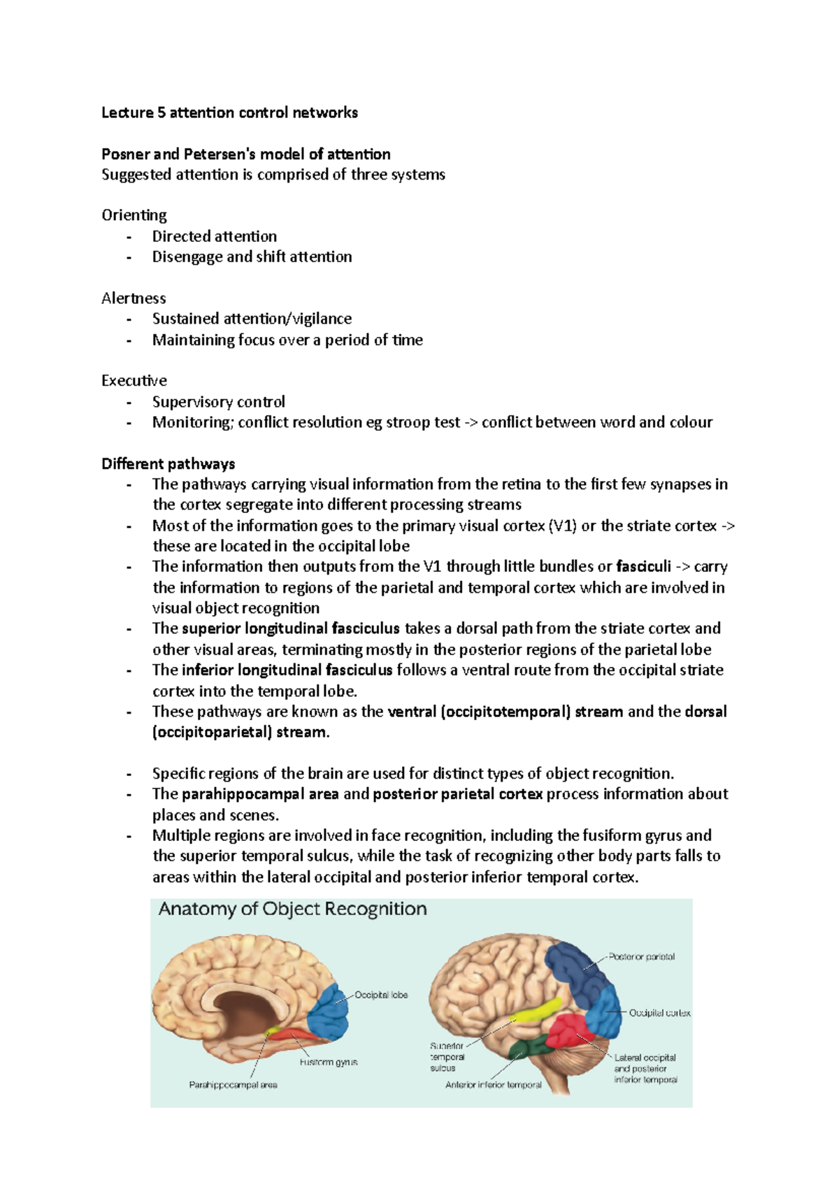 Lecture 5 attention control networks - Lecture 5 attention control ...