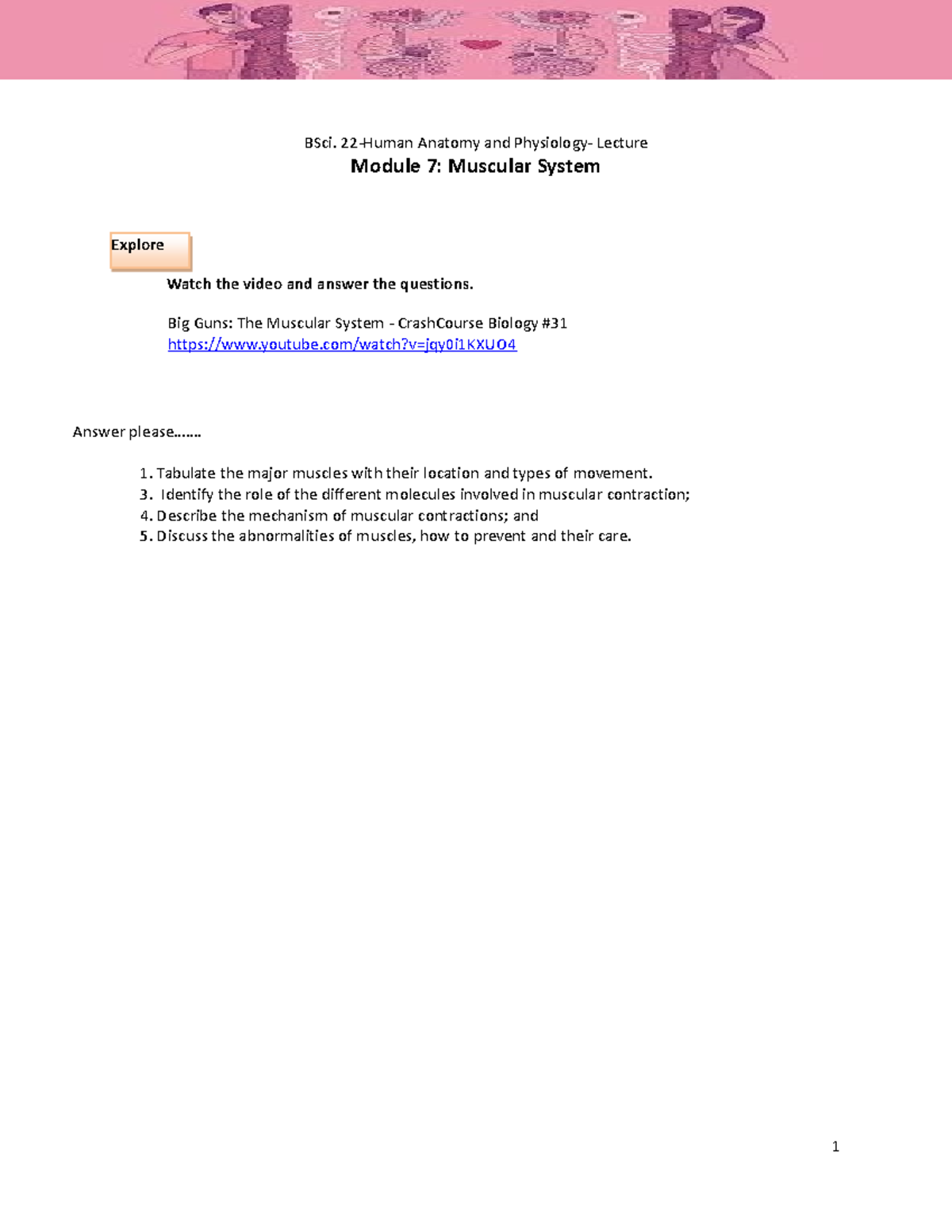 Anatomy lec module 7 Muscular DUE 0CT 14 - Explore BSci. 22-Human ...