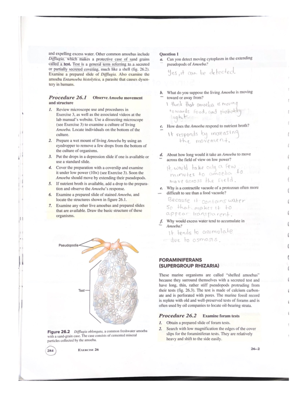 Lab 26 - Answers - and expelling excess water. Other common amoebas ...
