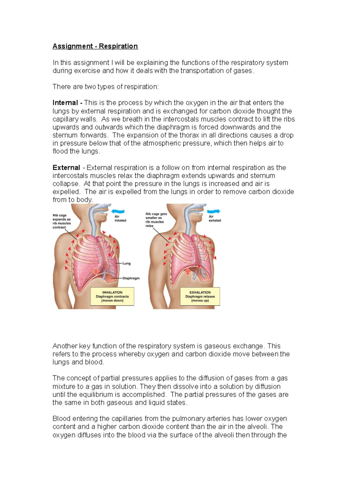 54356104 Assignment respiratory during exercise - Assignment ...