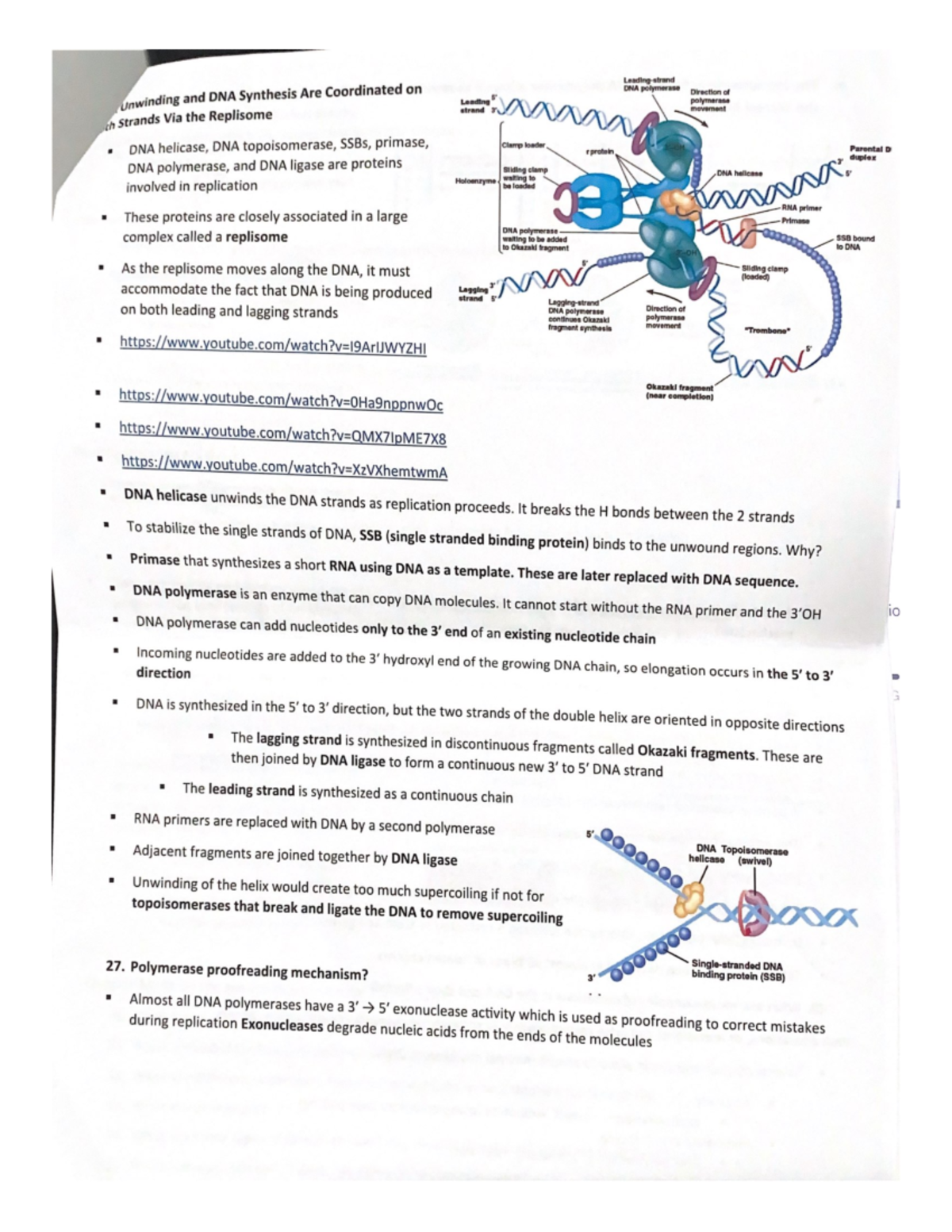 Dna Stnthesis And Problems W It - PCB 3023C - Studocu
